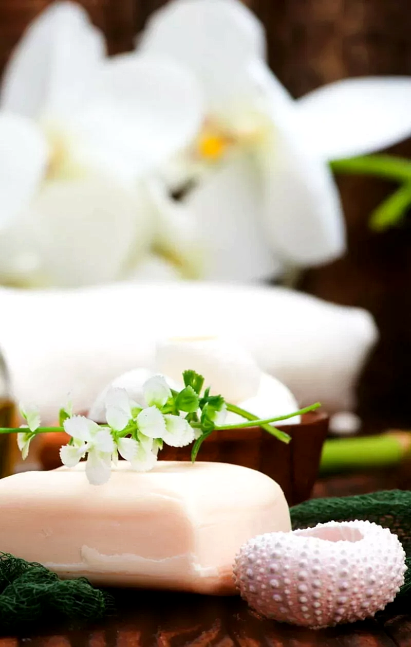 Luna Den Spa & Welness